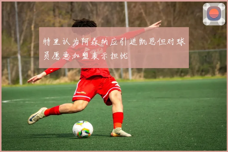 特里认为阿森纳应引进凯恩但对球员愿意加盟表示担忧
